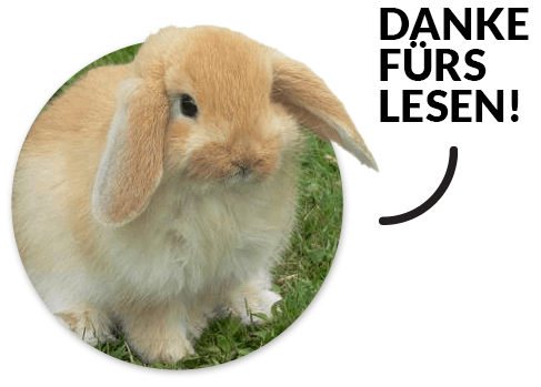 real_american_fuzzy_lop